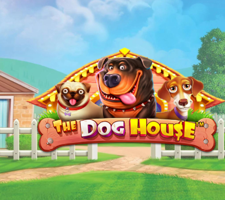 pria-kantoran-dapat-scatter-besar-di-slot-the-dog-house